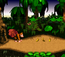 Screenshot Donkey Kong Country
