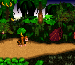 Screenshot Donkey Kong Country