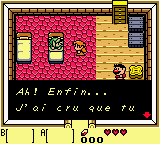 Screenshot Legend Of Zelda, The Link's Awakening Dx