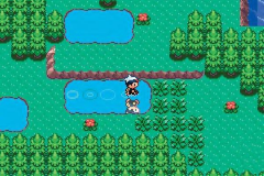 Screenshot Pokemon   Ruby Version