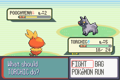 Screenshot Pokemon   Ruby Version