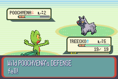Screenshot Pokemon   Sapphire Version